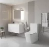 Eros ES QUADRO monoblokk WC - perem nélküli - WC ülőkével komplett