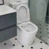 Eros ES AVVA monoblokk WC - perem nélküli - WC ülőkével komplett