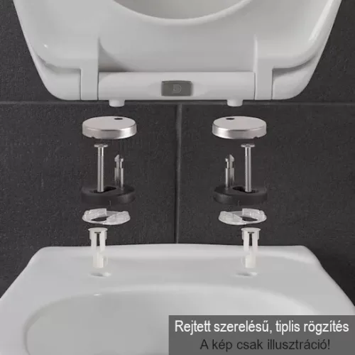CeraStyle IBIZA / HERA WC ülőke - MATT SZÜRKE - duroplast - lecsapódásgátlós - könnyen levehető